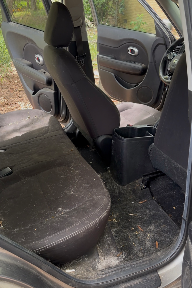 Car seats covered in pet hair and debris before detailing